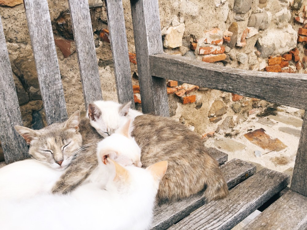 Processed with VSCO with q1 preset